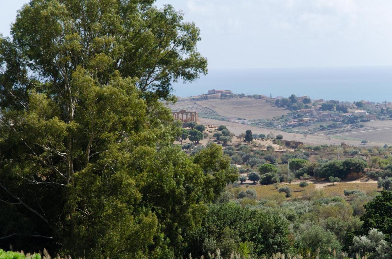 Panoramica Dei Templi B&B อากริเจนโต ภายนอก รูปภาพ